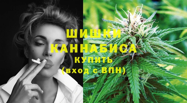 гашик Верея