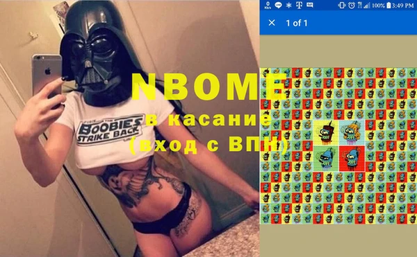 гашик Верея