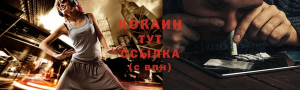 гашик Верея