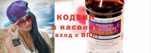 гашик Верея