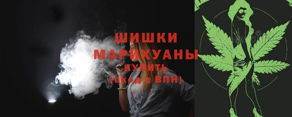 ПСИЛОЦИБИНОВЫЕ ГРИБЫ Верхний Тагил