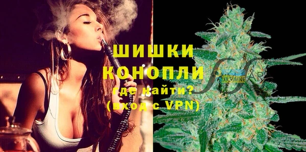 гашик Верея