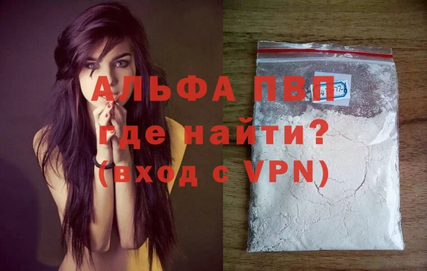 ПСИЛОЦИБИНОВЫЕ ГРИБЫ Верхний Тагил