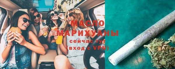 гашик Верея