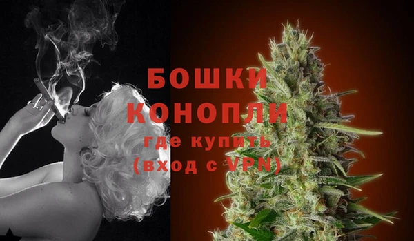 ПСИЛОЦИБИНОВЫЕ ГРИБЫ Верхний Тагил