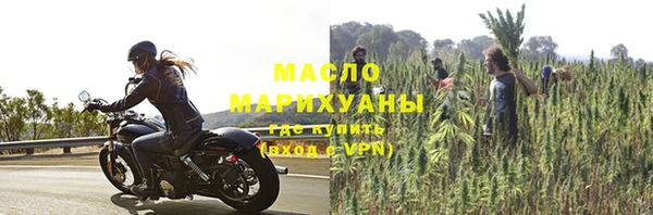 гашик Верея