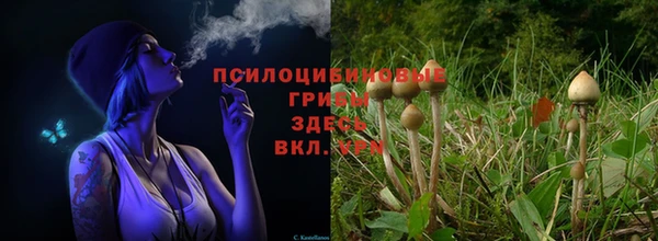 прущие крисы Верхнеуральск