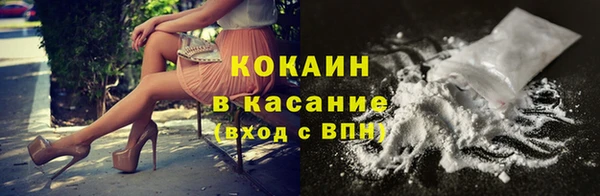 гашик Верея