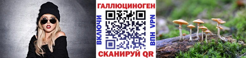 закладка  Кемь  hydra ССЫЛКА  Галлюциногенные грибы мицелий 